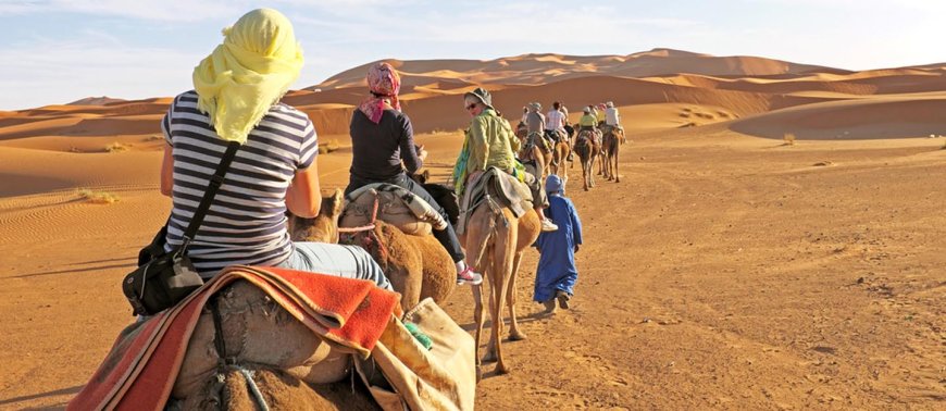 Budget-Friendly Desert Safari Packages for Dubai Visitors