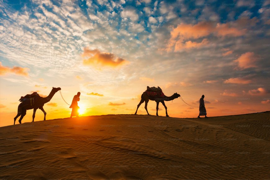 Budget vs Luxury: Which Sharjah Desert Safari Package is Best for You?
