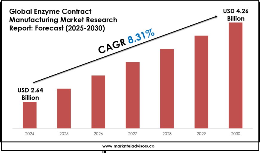 Enzyme Contract Manufacturing Market Research 2025–2030: Demand Drivers & Projections