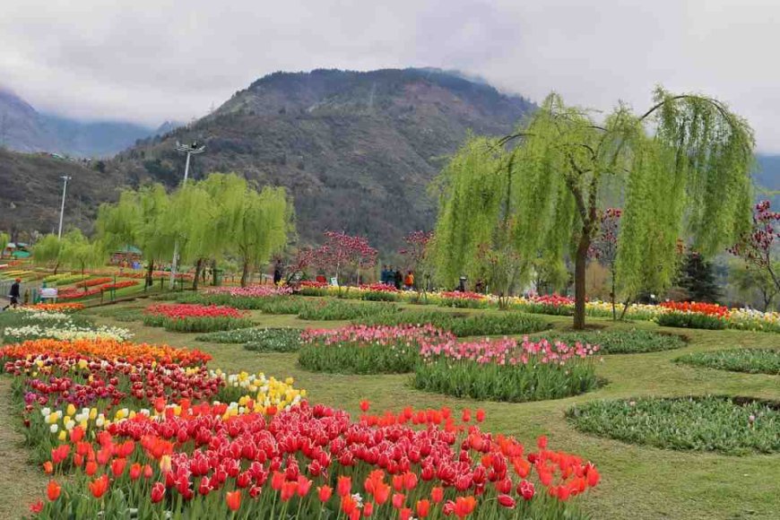 Explore the Beauty of Kashmir with Srinagar Local Sightseeing