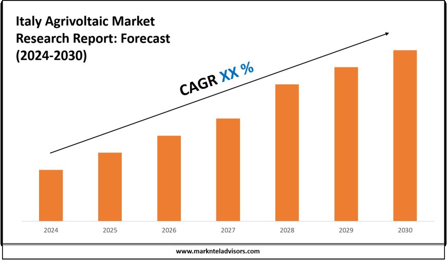 Italy Agrivoltaic Market Scope, Size and Forecast Analysis Report 2030