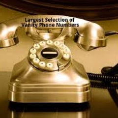 goldenphonenumbers